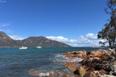 IMG_6584