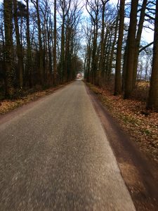 Warkensche Veld