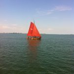 IMG_6203