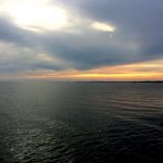 IMG_8516