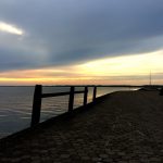 IMG_8517